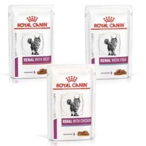 royal-canin-reanal-cat-bustine-tutti-i-gusti
