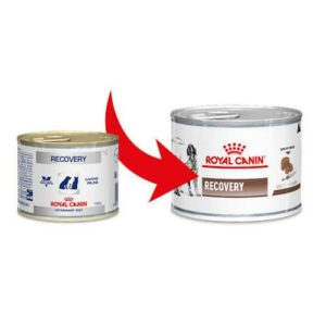 Royal Canin Recovery Scatolette Umido per Cani e Gatti - Foto 1 | AlanDog