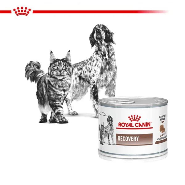 Royal Canin Recovery Scatolette Umido per Cani e Gatti - Foto 8 | AlanDog
