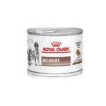 Royal Canin Recovery Scatolette Umido per Cani e Gatti