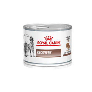 Royal Canin Recovery Scatolette Umido per Cani e Gatti