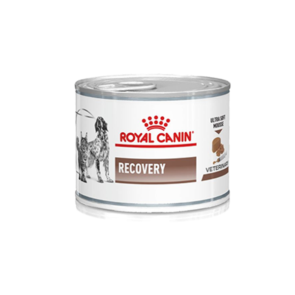 royal canin recovry 6
