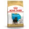 Royal Canin BHN Rottweiler Puppy | AlanDog