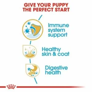 royal-canin-spaniel-puppy-cocker