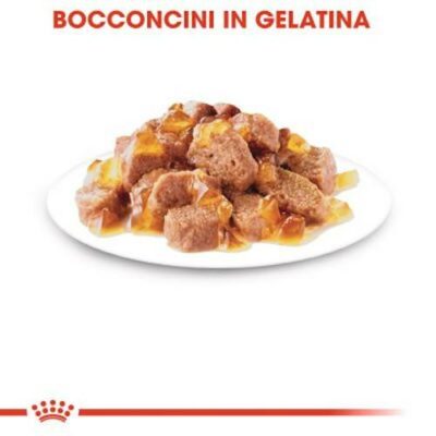 royal-canin-sterilised-bocconi-gelatina-gatto