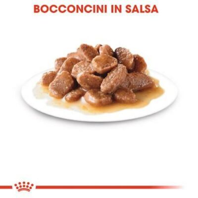 royal-canin-sterilised-bocconi-salsa-gatto