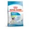 Royal Canin X Small Puppy | AlanDog