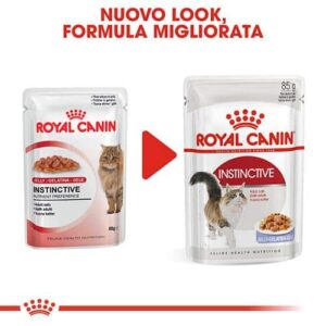 Royal Canin FHN Instinctive Bustine Umido Gatto - Foto 1 | AlanDog