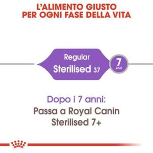 Royal Canin FHN Sterilised Gatto - Foto 1 | AlanDog