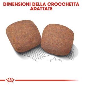 Royal Canin SHN Giant Adult cibo secco cani - Foto 1 | AlanDog