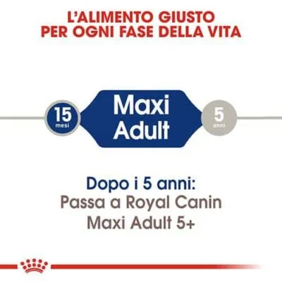 royal_canin_adulto