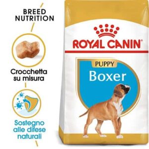 Royal Canin BHN Boxer Puppy - Foto 1 | AlanDog