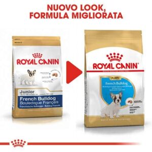 Royal Canin BHN French Bulldog Puppy - Foto 1 | AlanDog