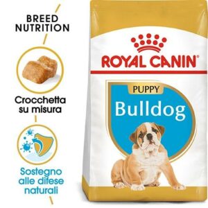 Royal Canin BHN Bulldog Puppy - Foto 1 | AlanDog