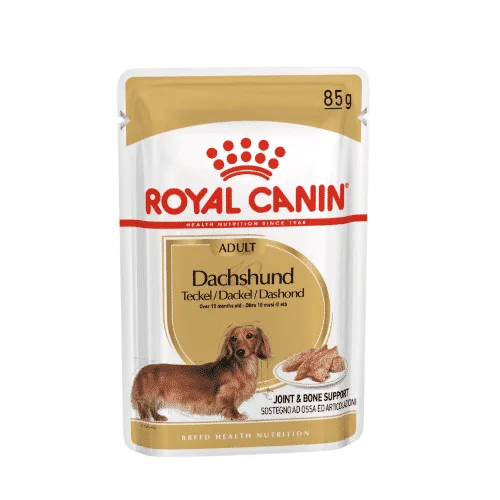 Royal Canin BHN Dachshund Adult Umido Bustine | AlanDog