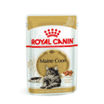 Royal Canin FBN WET Bustine Maine Coon