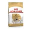 Royal Canin BHN Carlino | AlanDog
