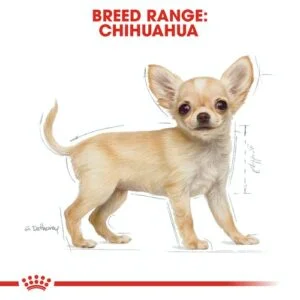 royal_canin_chihuahua_puppy