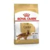 Royal Canin BHN Cocker Adult | AlanDog