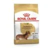 Royal Canin BHN Dachshund Adult | AlanDog
