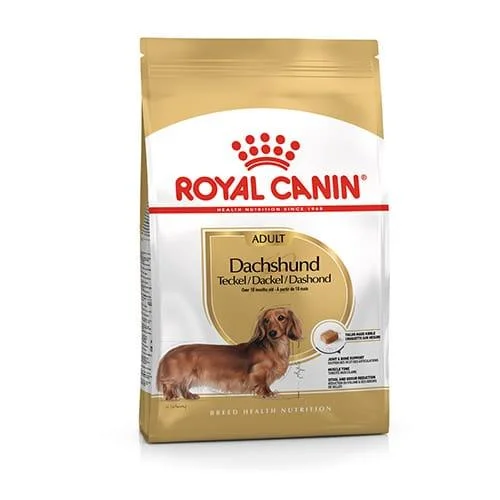 Royal Canin BHN Dachshund Adult | AlanDog