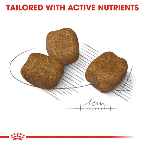 Royal Canin CCN Mini Dental Care - Foto 2 | AlanDog