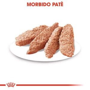 Royal Canin Bustine Exigent Mousse - Foto 1 | AlanDog