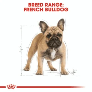 royal_canin_french_bulldog_adult