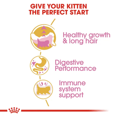 Royal Canin FBN Kitten Persian - Foto 2 | AlanDog