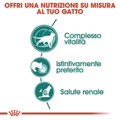 royal_canin_gatto