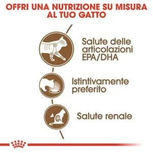 Royal Canin FHN Ageing 12+ Buste Gatto - Foto 1 | AlanDog