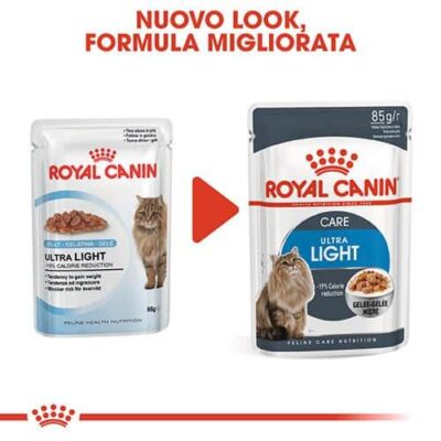 royal_canin_gatto