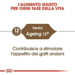 Royal Canin FHN Gatto Ageing 12+ - Foto 1 | AlanDog