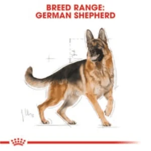 royal_canin_german_shepherd