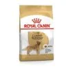 Royal Canin BHN Golden Retriever Adult | AlanDog