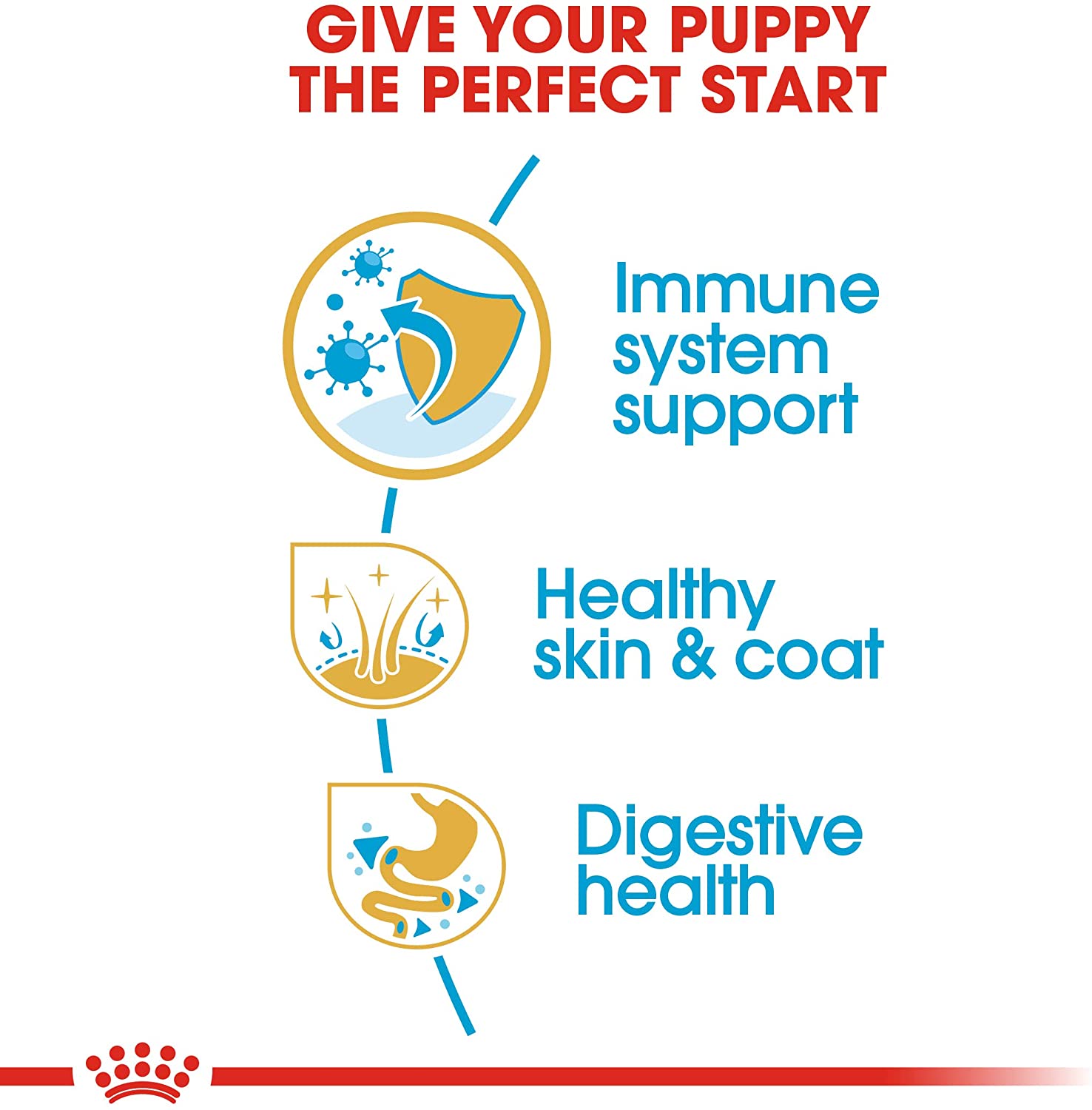 royal_canin_golden_retriever_junior_puppy_breed