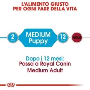 Royal Canin Medium Puppy - Foto 1 | AlanDog