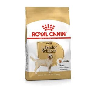 Royal Canin BHN Labrador Adult cibo per cani di razza