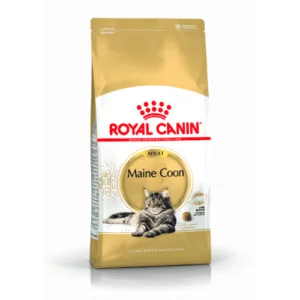 Royal Canin FBN Maine Coon | AlanDog