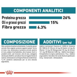 Royal Canin CCN Maxi Jointcare - Foto 1 | AlanDog