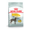 Royal Canin CCN Maxi Dermacomfort | AlanDog