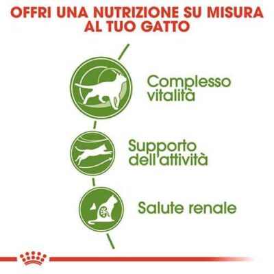 royal_canin_outdoor