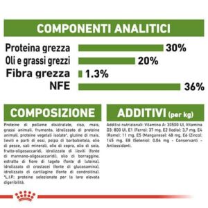 Royal Canin FHN Outdoor - Foto 1 | AlanDog