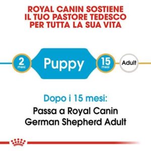 Royal Canin BHN German Shepherd Puppy - Foto 1 | AlanDog