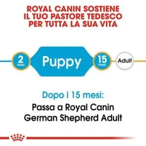 Royal Canin BHN German Shepherd Puppy - Foto 1 | AlanDog