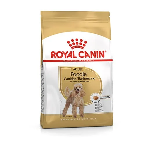 Royal Canin BHN Poodle | AlanDog