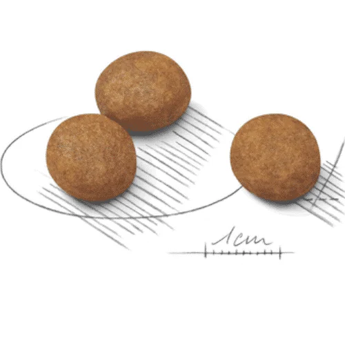 Royal Canin Maxi Puppy - Foto 2 | AlanDog