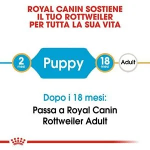 Royal Canin BHN Rottweiler Puppy - Foto 1 | AlanDog