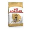 Royal Canin Setter Adult | AlanDog