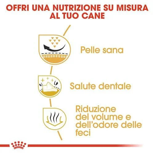 royal canin shih tzu food Royal Canin BHN Shih Tzu - Foto 3 | AlanDog